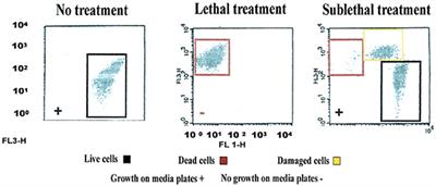 Comparison between Flow Cytometry and Traditional Culture Methods for Efficacy Assessment of Six Disinfectant Agents against Nosocomial Bacterial Species